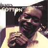 James Cotton. Best Of The Verve Years