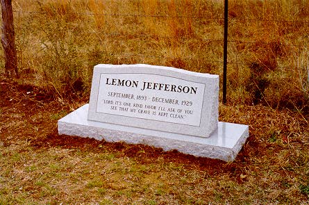 lemon1.jpg (48596 bytes)