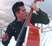 Alligator ��������� �������