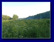 ������ ����� - 2007